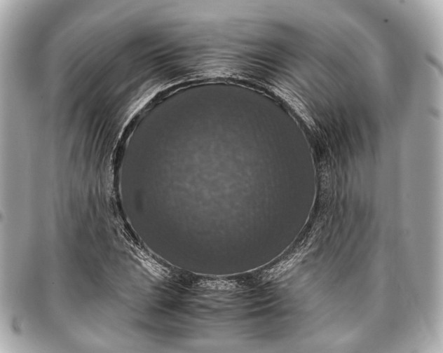 X0000097001023200802221516