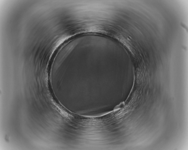 X0000097001024200802221516