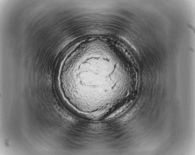 X0000097001025200802221516