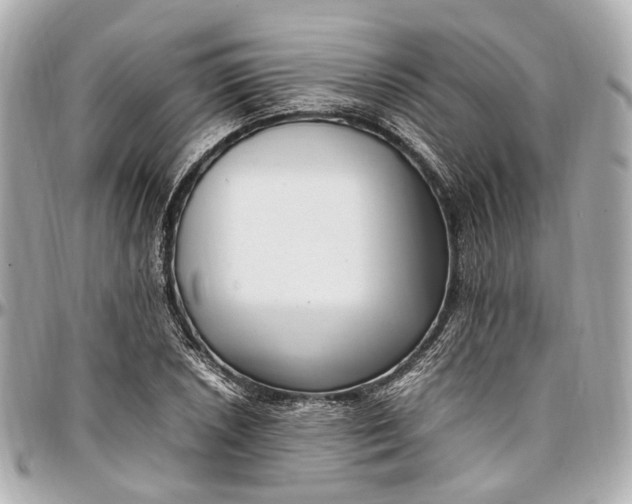 X0000097001026200802221516