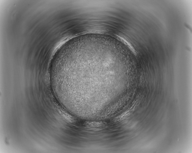 X0000097001027200802221516