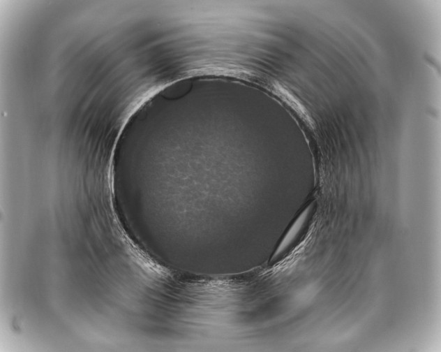 X0000097001028200802221516