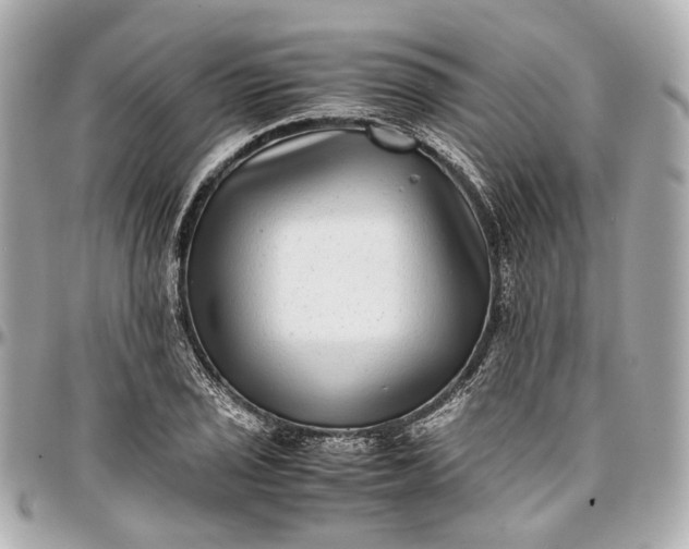 X0000097001029200802221516