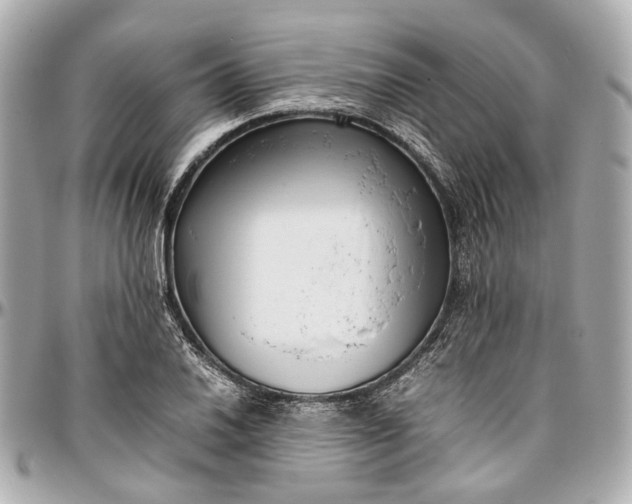 X0000097001030200802221516