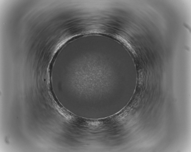 X0000097001031200802221516