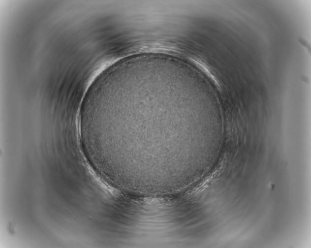 X0000097001032200802221516