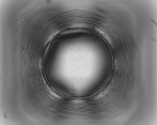 X0000097001033200802221516