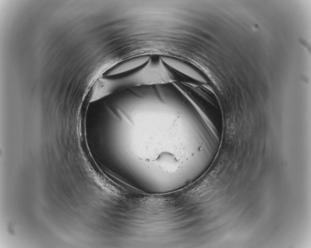 X0000097001034200802221516