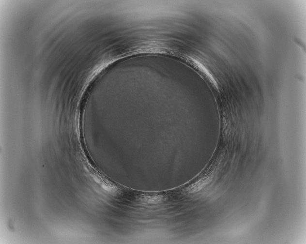 X0000097001035200802221516