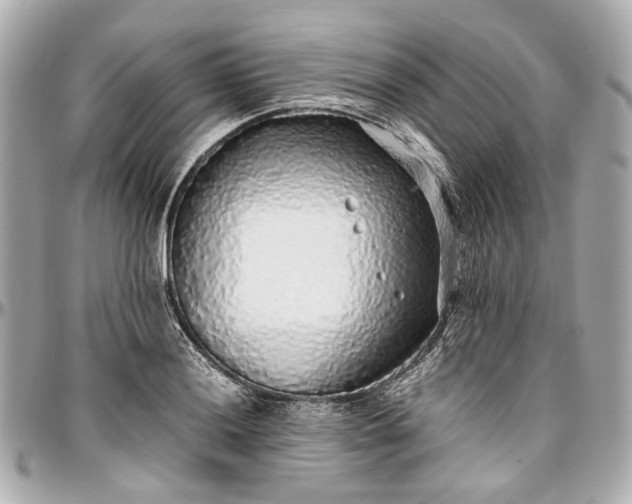 X0000097001036200802221516