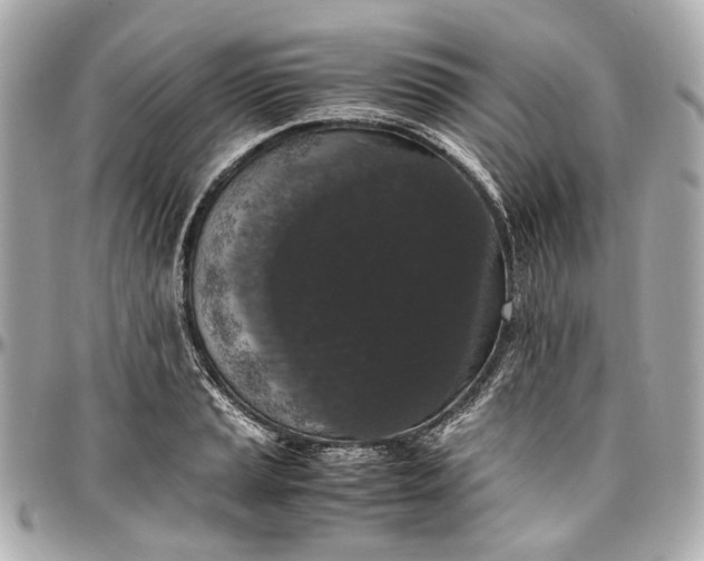 X0000097001037200802221516