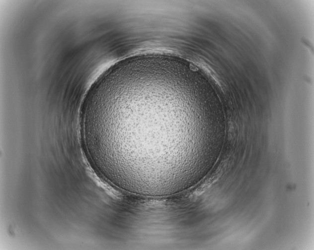 X0000097001038200802221516