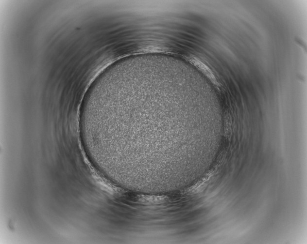 X0000097001039200802221516