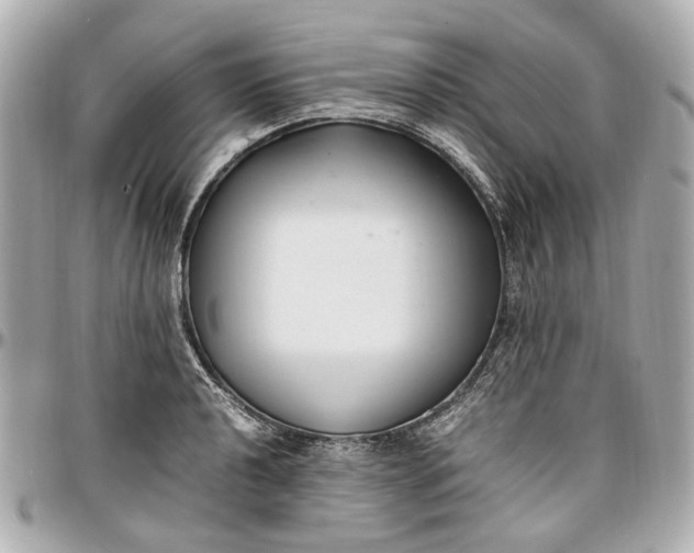 X0000097001040200802221516