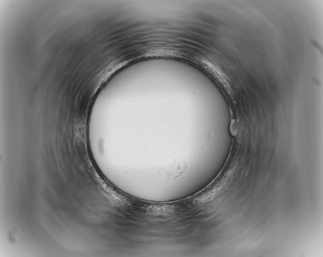 X0000097001041200802221516