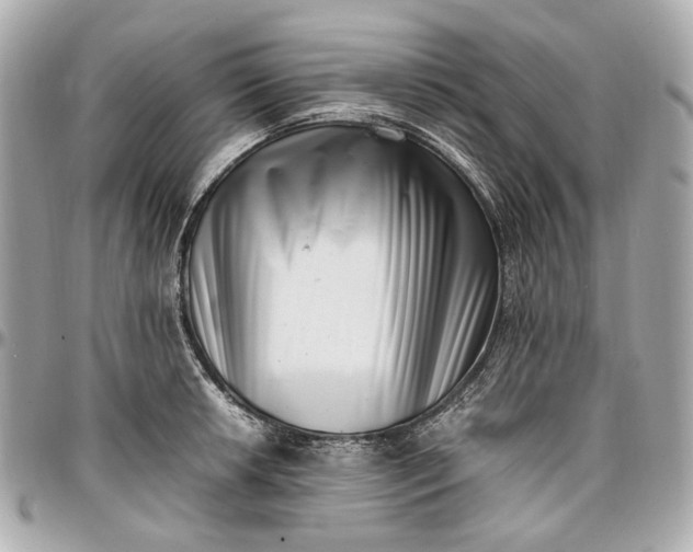 X0000097001042200802221516