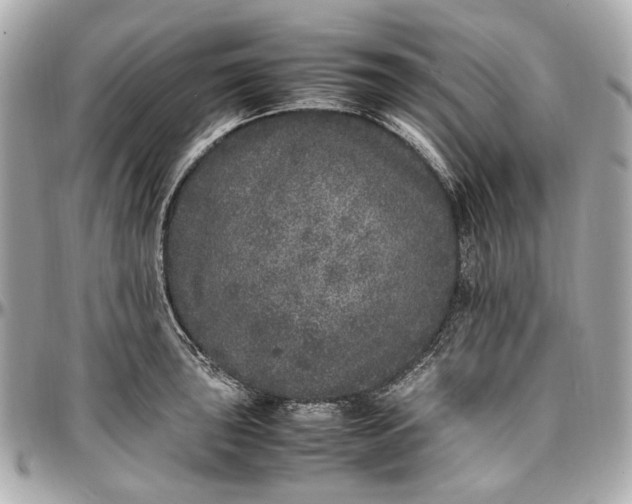 X0000097001043200802221516