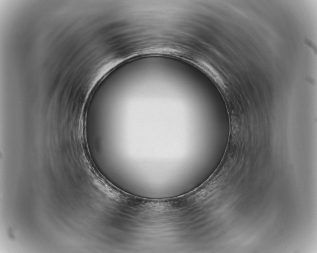 X0000097001044200802221516