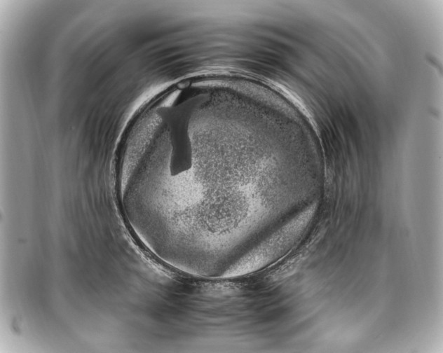 X0000097001045200802221516