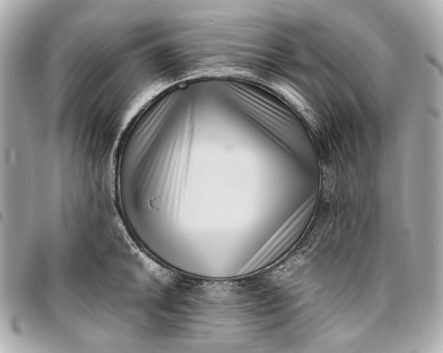 X0000097001046200802221516