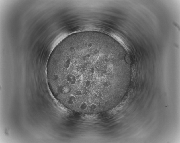 X0000097001047200802221516