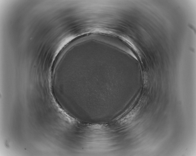 X0000097001048200802221516