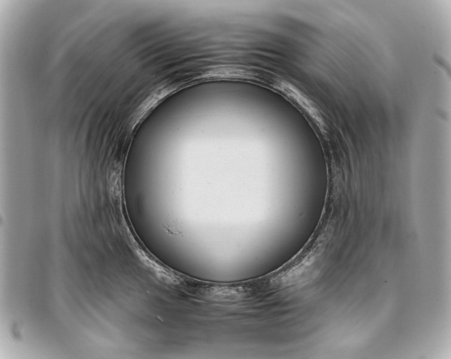 X0000097001049200802221516