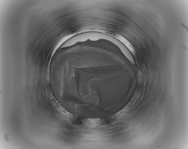 X0000097001052200802221516