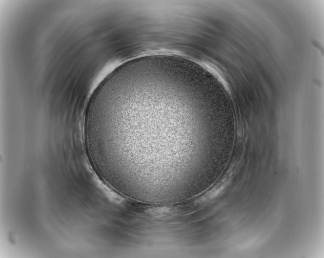 X0000097001054200802221516