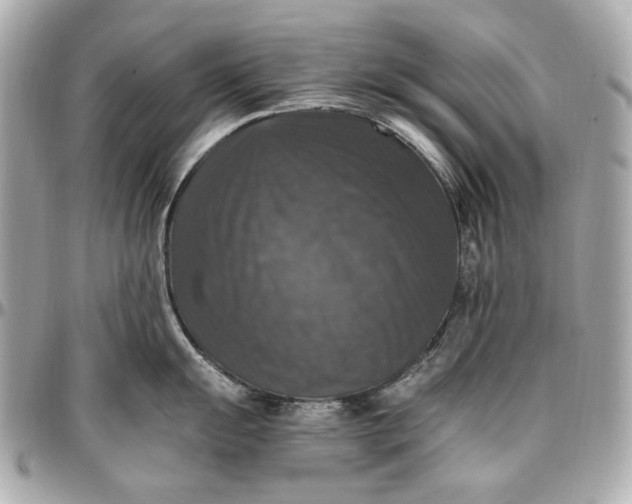 X0000097001055200802221516