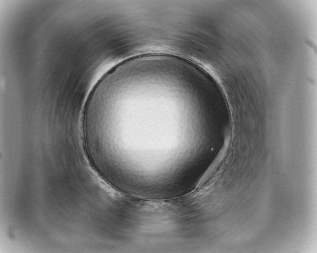 X0000097001056200802221516