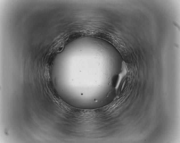 X0000097001058200802221516