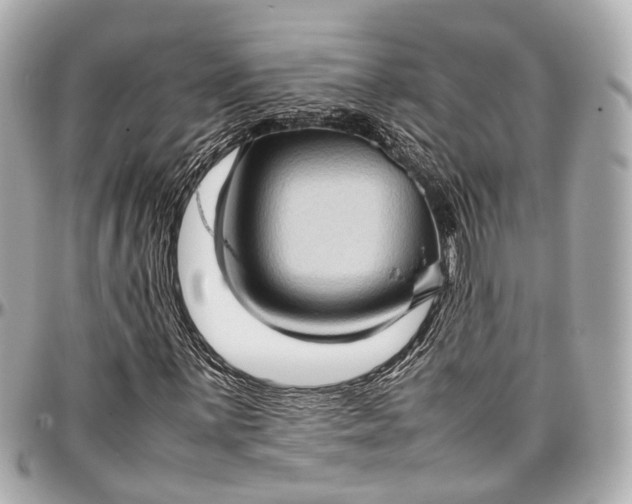 X0000097001059200802221516