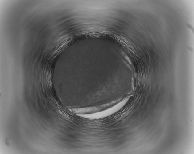 X0000097001060200802221516