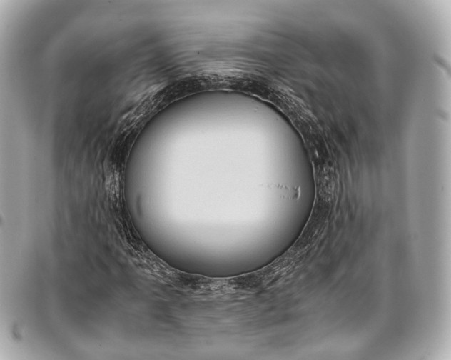 X0000097001061200802221516