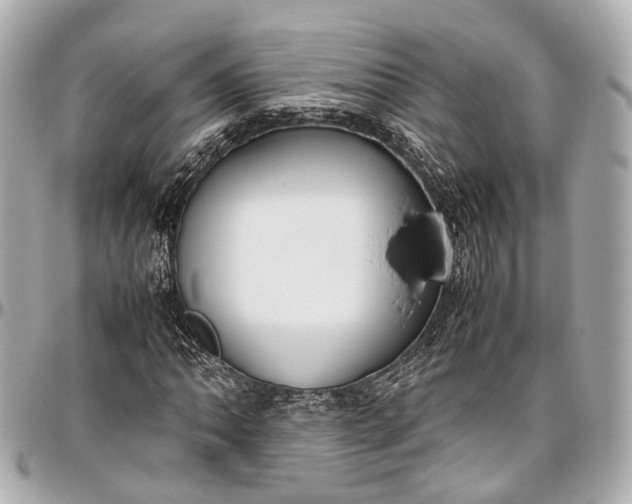 X0000097001062200802221516