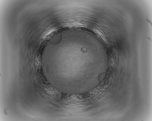 X0000097001063200802221516