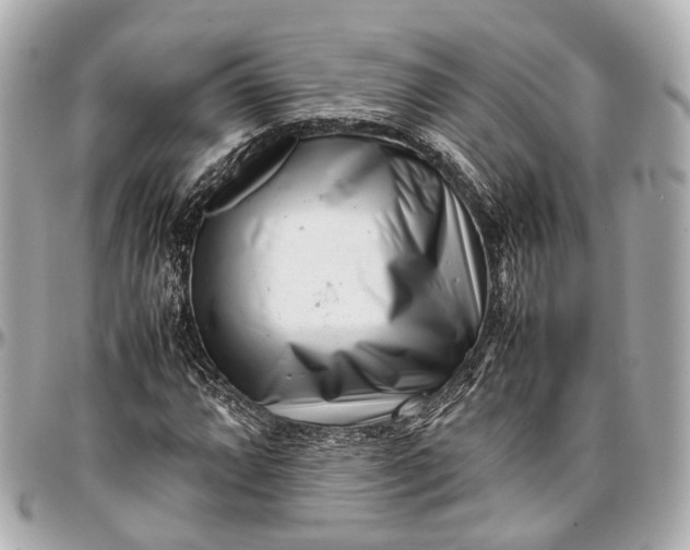 X0000097001064200802221516