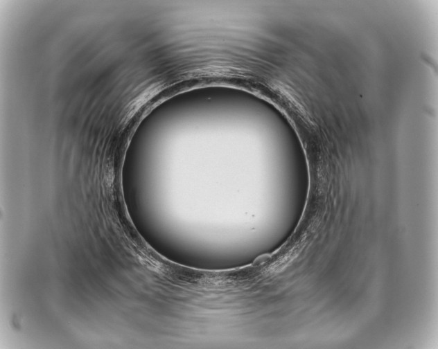 X0000097001065200802221516