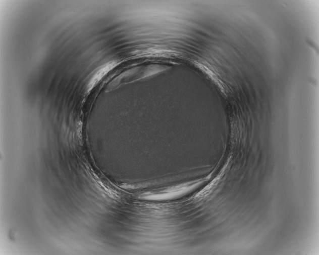 X0000097001066200802221516