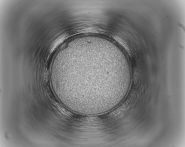 X0000097001067200802221516