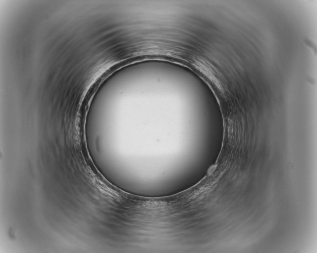 X0000097001068200802221516