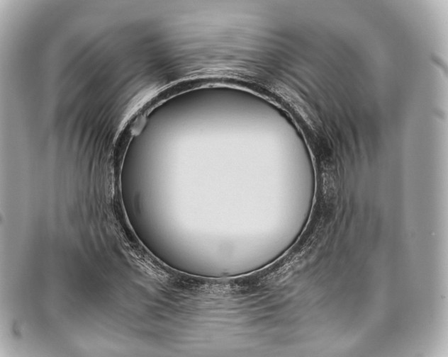 X0000097001069200802221516