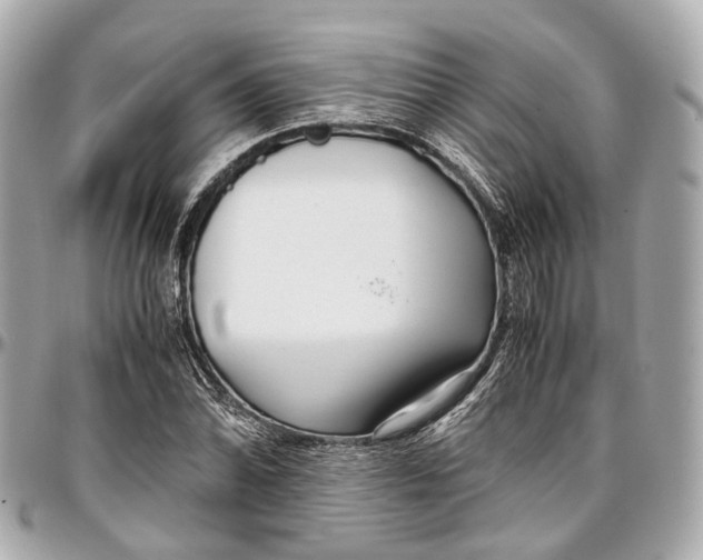 X0000097001070200802221516