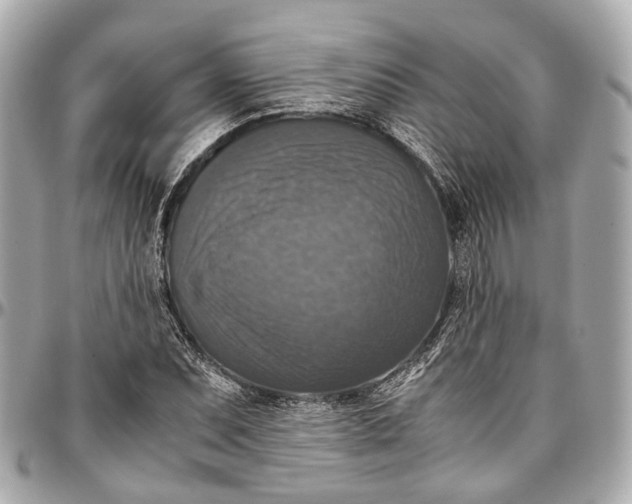 X0000097001071200802221516