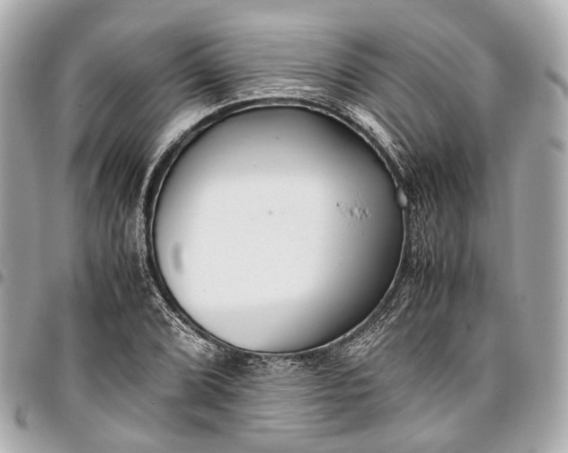 X0000097001072200802221516