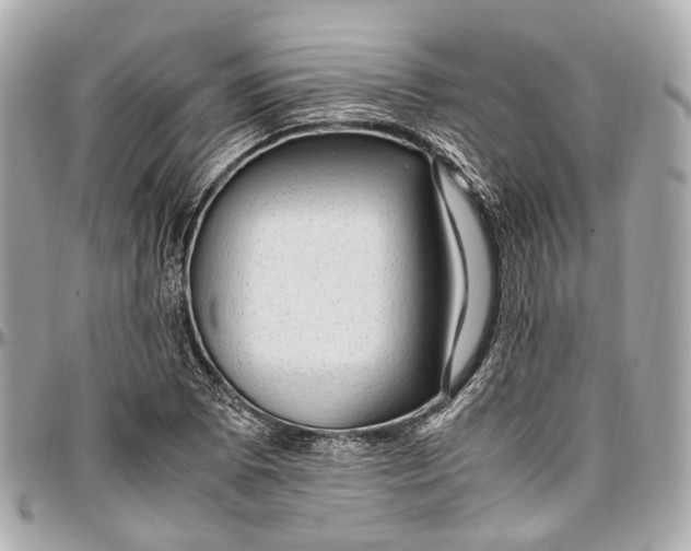 X0000097001073200802221516