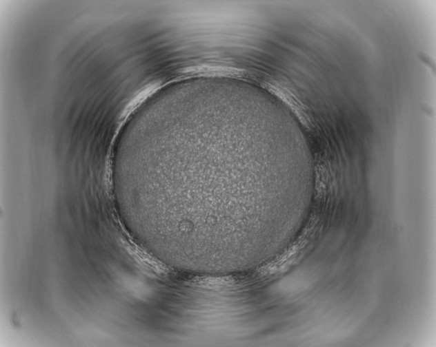 X0000097001074200802221516