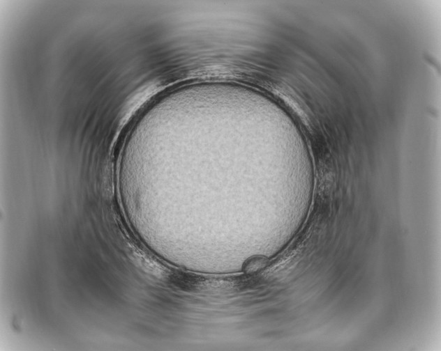 X0000097001075200802221515