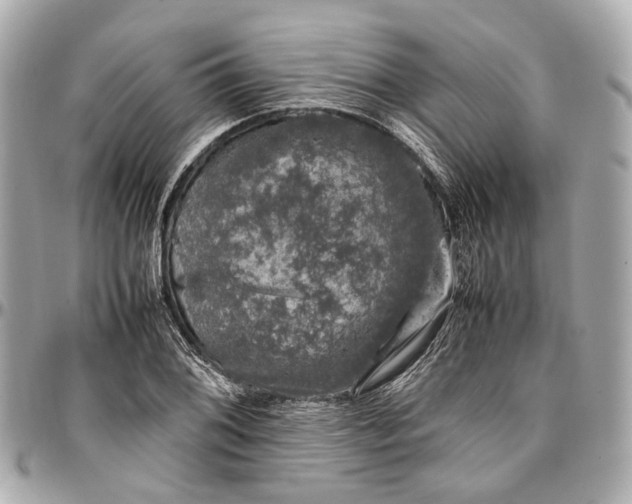 X0000097001076200802221515